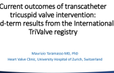 Lessons from an International Registry on Transcatheter Tricuspid Therapies