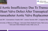 Central Aortic Insufficiency Due to Transcatheter Heart Valve Defect After Transapical Transcatheter Aortic Valve Replacement