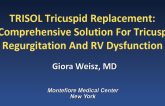 TRISOL Tricuspid Valve Replacement: A Comprehensive Solution for Tricuspid Regurgitation and RV Dysfunction