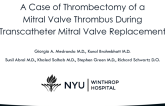 A Case of Thrombectomy of Mitral Valve Thrombus During Transcatheter Mitral Valve Replacement