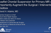 Leaflet Chordal Suspension for Primary MR Will Importantly Augment the Surgical/Interventional Toolbox