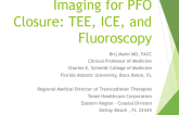 Imaging for PFO Closure: TEE, ICE, and Fluoroscopy
