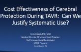 Cost-effectiveness of Cerebral Protection During TAVR: Can We Justify Systematic Use?