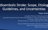 Cardioembolic Stroke: Scope, Etiologies, Guidelines, and Uncertainties