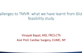 Challenges to Transcatheter Mitral Valve Replacement: Lessons From the Early Feasibility Studies