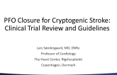 Data Deliverance: Updated PFO Closure for Cryptogenic Stroke Clinical Trial Review and Guidelines