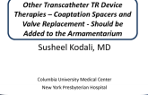 Other Transcatheter TR Device Therapies – Coaptation Spacers and Valve Replacement - Should Be Added to the Armamentarium