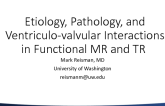 Etiology, Pathology, and Ventriculo-valvular Interactions in Functional MR and TR