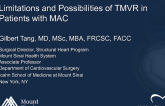 Limitations and Possibilities of TMVR in Patients With MAC