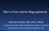 TAVR to Treat Pure Aortic Regurgitation: Published and Personal Experiences (With Case Examples)