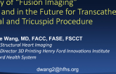 Utility of Fusion Imaging Now and in the Future for Transcatheter Mitral and Tricuspid Procedures