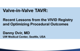 Recent Lessons from the Global Aortic VIVID Registry – Optimizing Procedural Outcomes