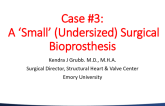 Case #3: A ‘Small' (Undersized) Surgical Bioprosthesis