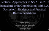 Electrical Approaches to NVAF in 2018 (Standalone or in Combination With LAA Occlusion): Evidence and Practical Recommendations