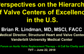 Perspectives on the Hierarchy of Valve Centers of Excellence in the US