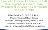 Successful Retrieval of Embolized Left Atrial Appendage Closure Device (Watchman) Utilizing a Cook Vascular Retrieval Forceps