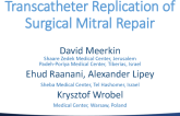 Transcatheter Replication of Surgical Mitral Repair