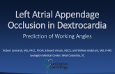 Left Atrial Appendage Occlusion in Dextrocardia: Prediction of TEE Working Angles