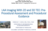 LAA Imaging With 2D and 3D TEE: Preprocedural Assessment and Procedural Guidance