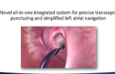 Novel All-in-One Integrated System for Precise Trans-septal Puncture and Simplified Left Atrial Navigation