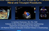 Advanced Applications of TEE Imaging for Transcatheter Mitral and Tricuspid Procedures