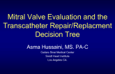 Mitral Valve Evaluation and the Transcatheter Repair/Replacement Decision Tree