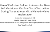 Use of Perfusion Balloon to Assess for Neo-Left Ventricular Outflow Tract Obstruction During Transcatheter Mitral Valve-in-Valve Implantation