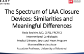 The Spectrum of LAA Closure Devices: Similarities and Meaningful Differences