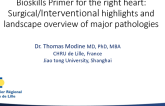 Bioskills Primer for the Right Heart: Surgical/Interventional Highlights and Landscape Overview of Major Pathologies