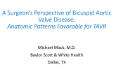 A Surgeon's Perspective of Bicuspid Aortic Valve Disease – Anatomic Patterns Favorable for TAVR