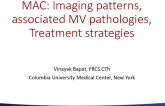 The Many Faces of MAC: Imaging Patterns, Associated Mitral Valve Pathologies, and Treatment Strategies