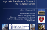 Large Hole Transfemoral Closure I: The PerQseal Device