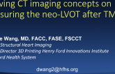 Evolving CT Imaging Concepts on Measuring the Neo-LVOT After TMVR