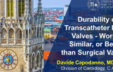 Durability of Transcatheter Heart Valves - Worse, Similar, or Better than Surgical Valves?