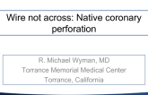 Wire not across: Native coronary perforation