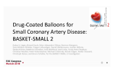 Drug-Coated Balloons for Small Coronary Artery Disease: BASKET-SMALL 2