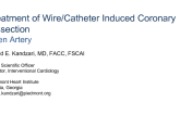 Treatment of Wire/Catheter Induced Coronary Dissection Open Artery
