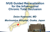 IVUS-Guided Recanalization for the Infrainguinal Chronic Total Occlusions