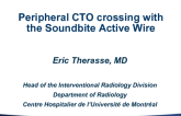 Peripheral CTO crossing with the SoundBite Active Wire (SoundBite)