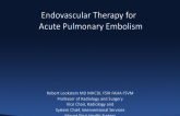 Emerging Catheter-Based Techniques to Treat Acute Pulmonary Embolism