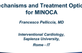 Mechanisms and Treatment Options for MINOCA