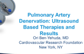 Pulmonary Artery Denervation III: Ultrasound-Based Therapy and Results