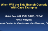 When Will the Side Branch Occlude? (With Case Examples)