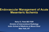 Endovascular Management of Acute Mesenteric Ischemia