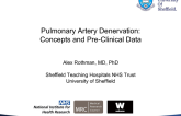 Pulmonary Artery Denervation I: Concepts and Pre-Clinical Data