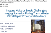 Imaging Make or Break: Challenging Imaging Scenarios During Transcatheter Mitral Repair Procedural Guidance