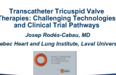 Transcatheter Tricuspid Valve Therapies: Challenging Technologies and Clinical Trial Pathways
