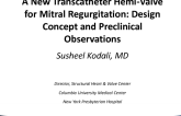 Hemi-Valve for Mitral Regurgitation (Sutra): Design Concept and Pre-Clinical Observations