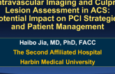 Intravascular Imaging and Culprit Lesion Assessment in ACS: Potential Impact on PCI Strategies and Patient Management