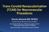 Case #6: Trans-Cervical Carotid Artery Stenting: Silk-Road